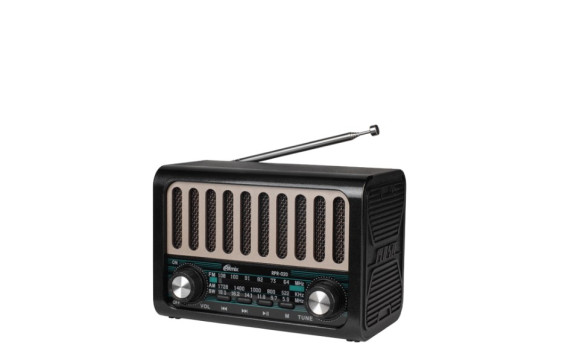 Радиоприемник Ritmix RPR-020 (Fm/BT/USB/microSD/акб.18650) чер (12,9х8,6х7,1см)