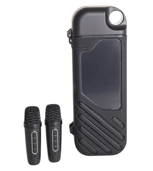 Колонка портативная B52 Karaoke Box, 10Вт, 2 микроф., черная