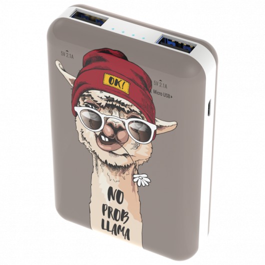 Внешний аккумулятор 10000mAh Ritmix RPB-10007 Lama (in - M/out - 2U)