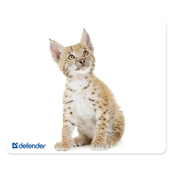 Коврик для мыши Defender Silk (230x190x1,6мм) 10 вид. шелк+резина 50706