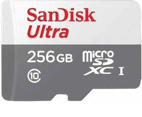 Карта памяти microSDHC SanDisk 256Gb Class10 UHS-1 U1 (100MB/s) б/адапт
