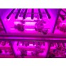 Светильник для растений Jazzway PPG T8i - 900 Agro 12W IP20