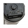 Колонка портативная ZQS-4248, 8Вт, 2*4" (B)