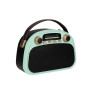Радиоприемник Ritmix RPR-040 (Fm/BT/USB/microSD/акб.18650) мятн(18,5х13х8,5см)