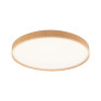 LED-светильник Jazzway PPB 72Вт 3000-6500K PINE DIM IP20 D 485х75