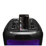 Колонка портативная Microlab PT1000, 80-320Вт, 2*10" (B)
