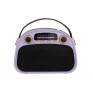 Радиоприемник Ritmix RPR-040 (Fm/BT/USB/microSD/акб.18650) лаван(18,5х13х8,5см)