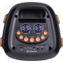 Колонка портативная Defender Boomer 25, 25Вт, 2*4" 65425 (B)