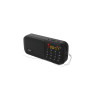 Радиоприемник Ritmix RPR-007 (Fm/USB/microSD/акб.2*18650) черный (13,4х3,5х6см)