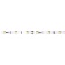 Светодиодная лента Jazzway PLS 5050/30 Теплый белый IP20 (5м)