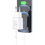 Адаптер сетевой с кабелем USB - lightning 2.4A Hoco C88A