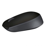 Мышь Logitech M171 беспроводная, черная 910-004424 (1АА в комп.)