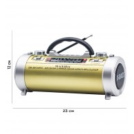 Радиоприемник Waxiba XB-681 (акб.-USB) золото (12х23см)
