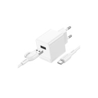 Адаптер сетевой с кабелем USB - Type-C 2.1A Borofone BAS11A