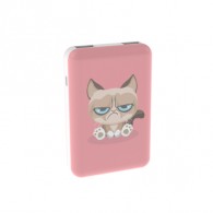 Внешний аккумулятор 10000mAh Ritmix RPB-10007 Grumpy Cat (in - M/out - 2U)