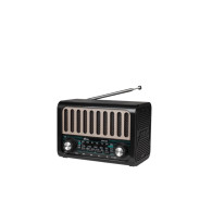 Радиоприемник Ritmix RPR-020 (Fm/BT/USB/microSD/акб.18650) чер (12,9х8,6х7,1см)