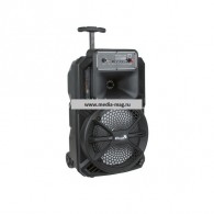 Колонка портативная Eltronic 20-28, 15Вт, 8" (Crazy Box) (B)