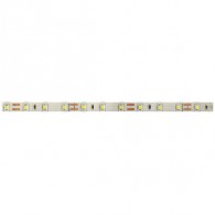 Светодиодная лента Jazzway PLS 2835/120 - 24V Pro 6000K Белый IP20 (5м)