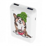 Внешний аккумулятор 10000mAh Ritmix RPB-10007 Corgi (in - M/out - 2U)