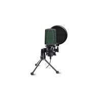 Микрофон Ritmix RDM-126 PRO на треноге, черно-зеленый